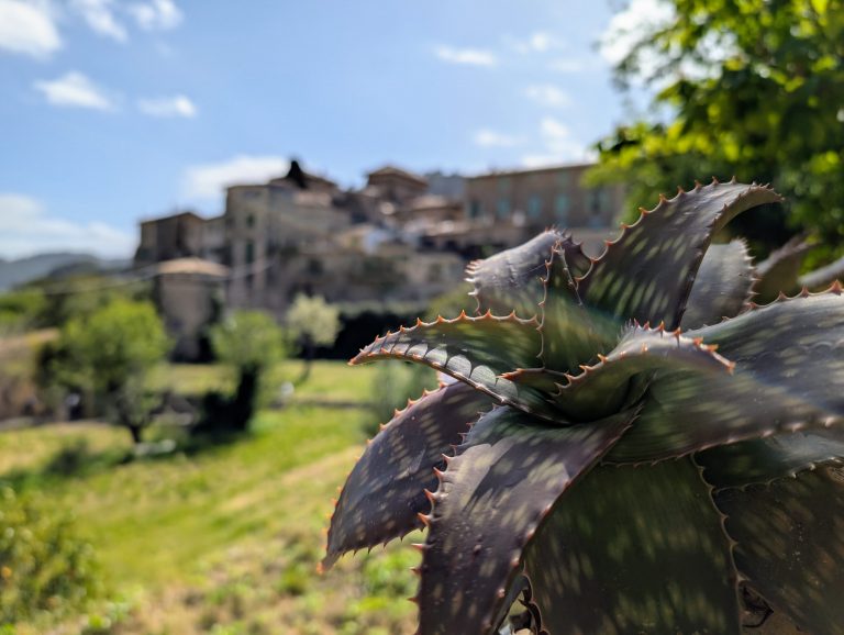 PXL_20260331_135458107